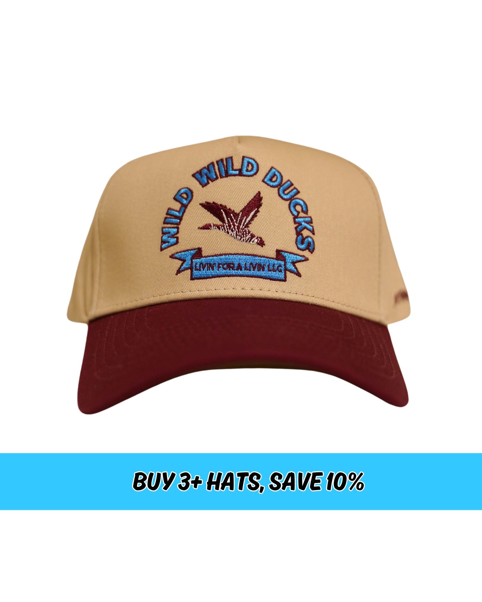 Wild Ducks Hat