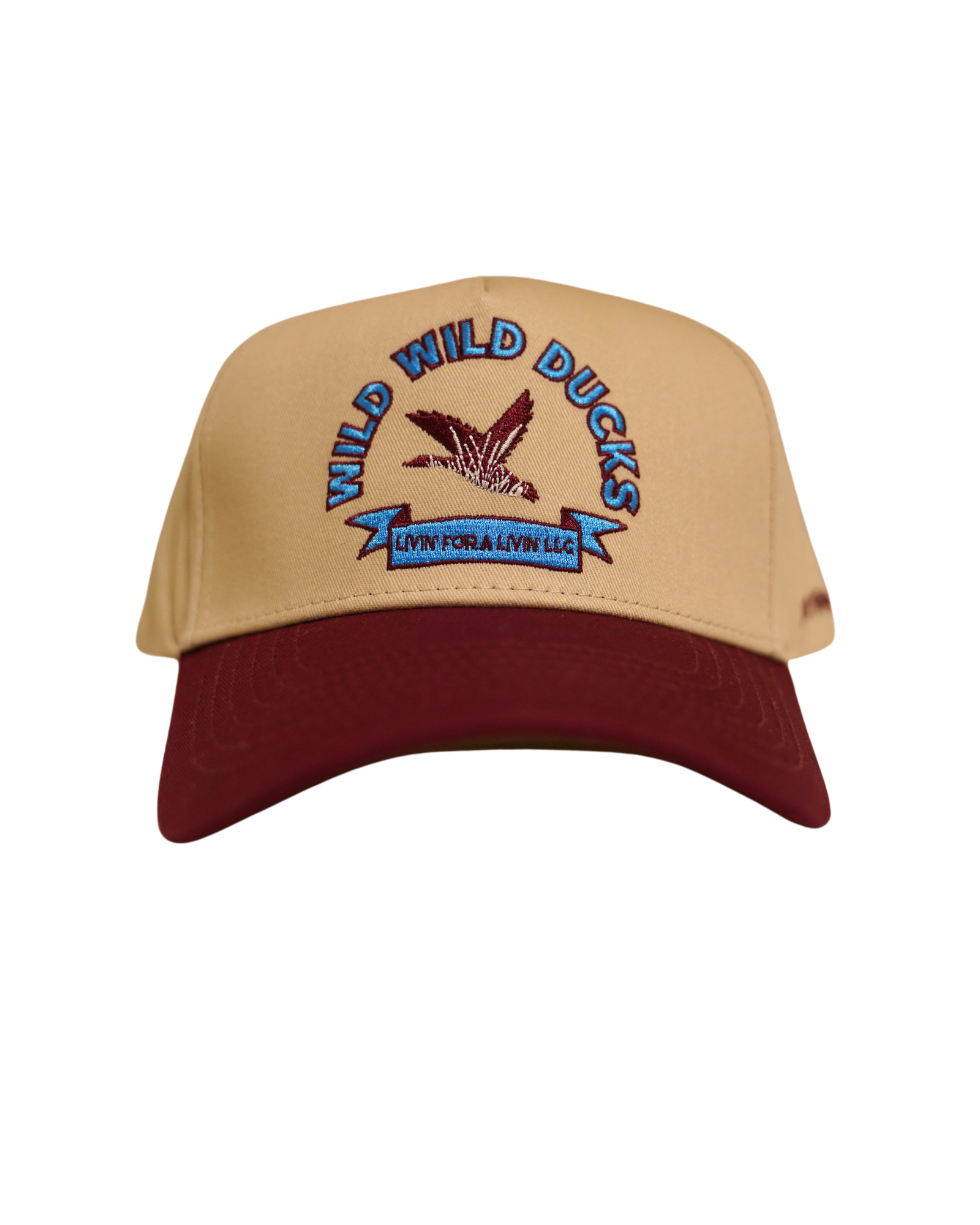 Wild Ducks Hat