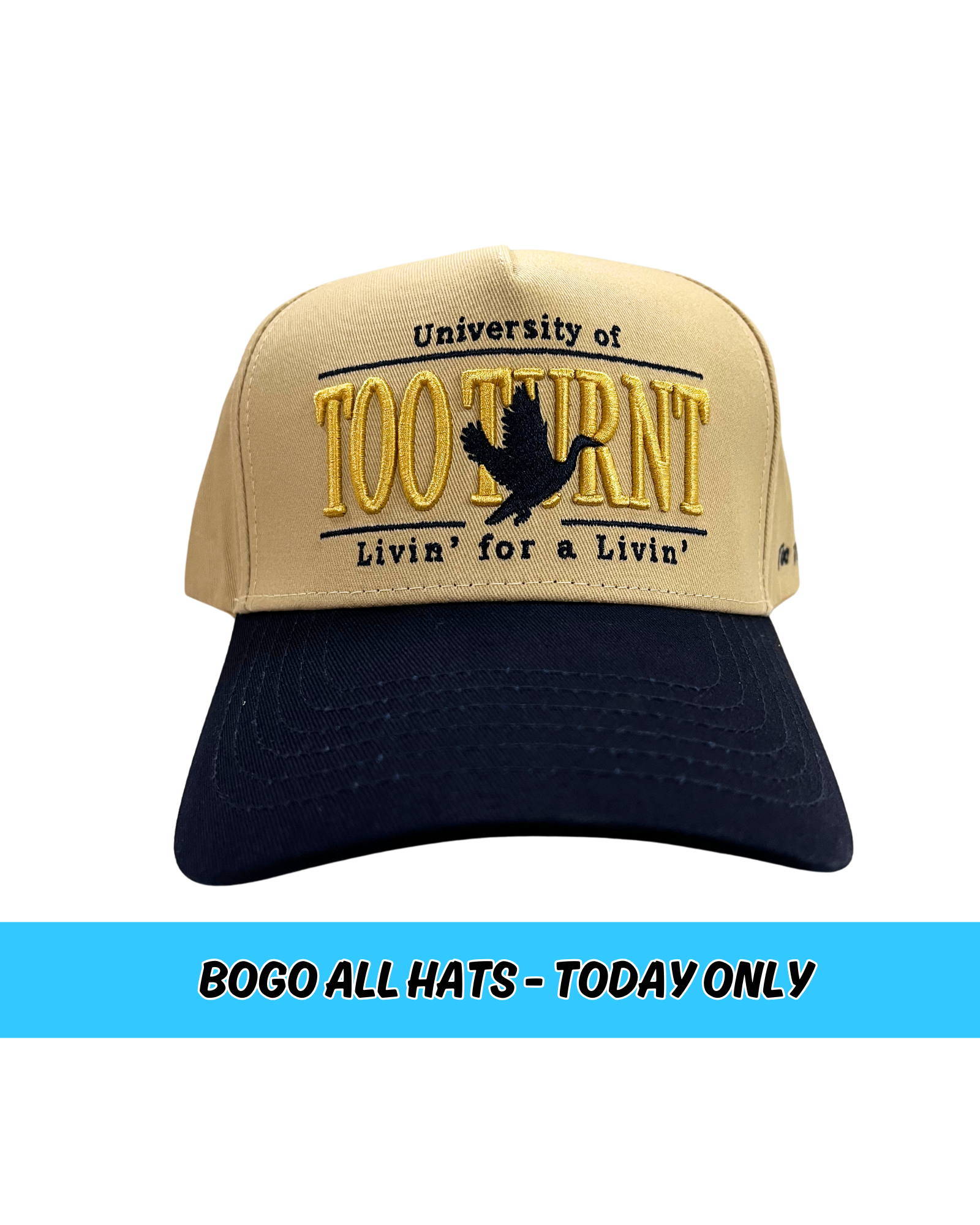 University Hat